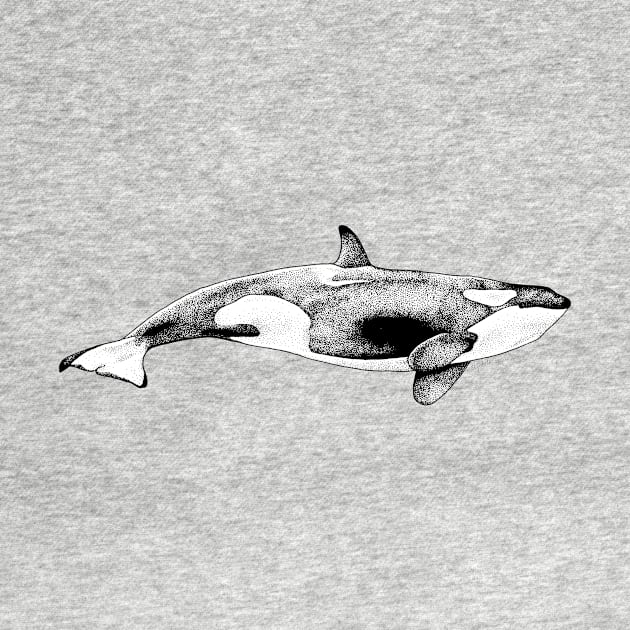 Orca Whale by Elizabeth Weglein Art